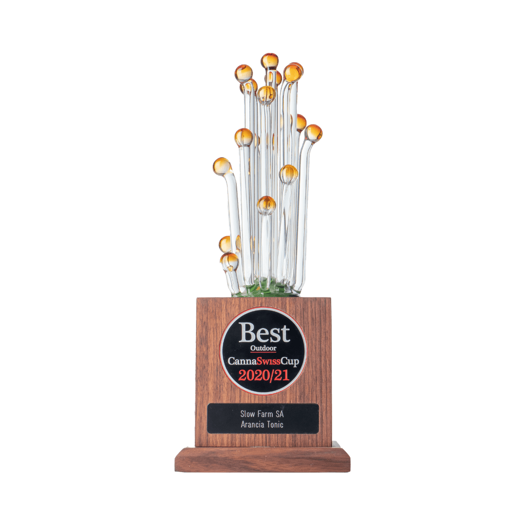 Arancia Tonic - Crunch