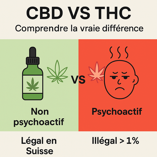 CBD vs THC