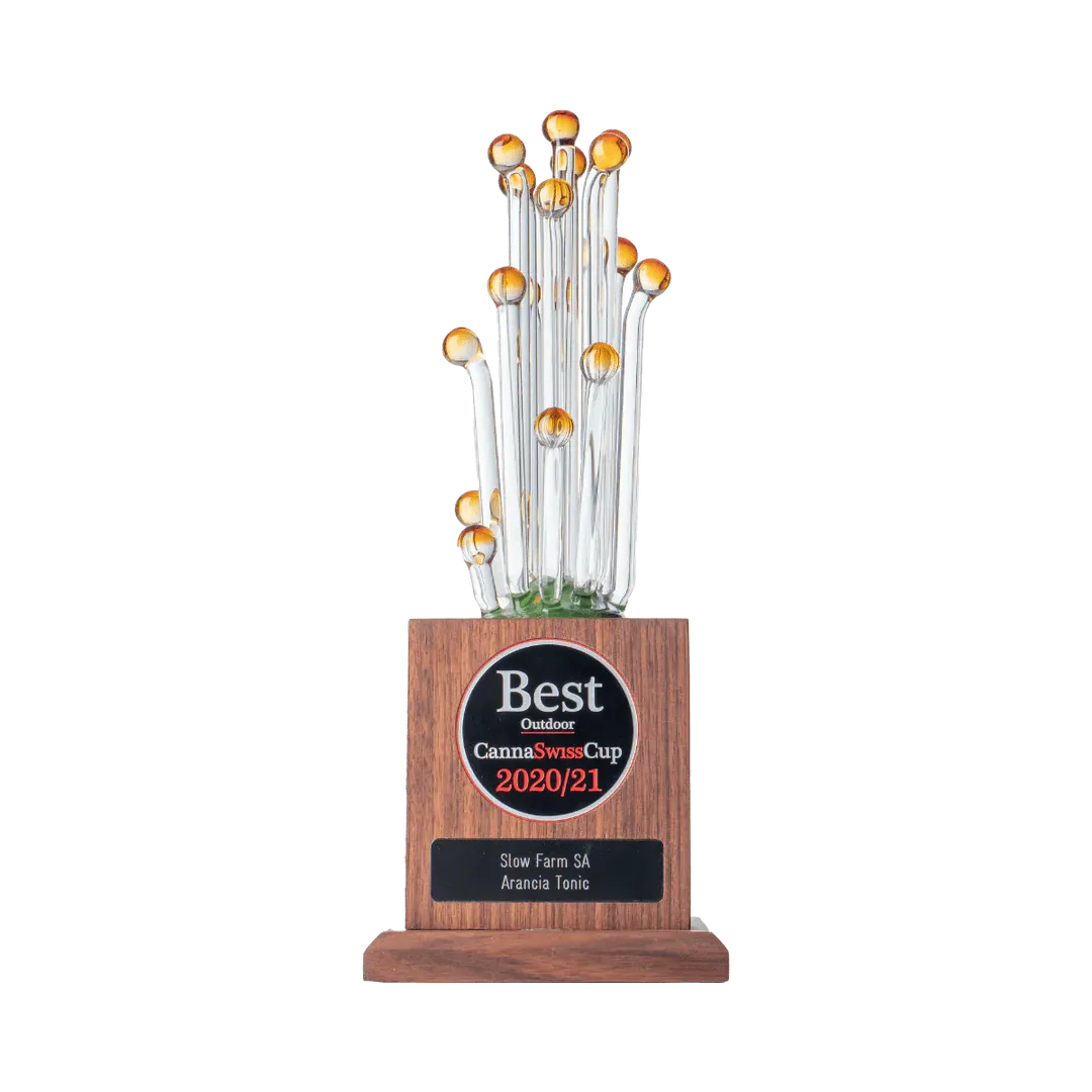 Arancia Tonic - Small Buds Outdoor