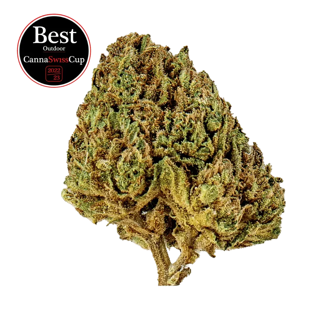 Candy Kush - Small Buds Outdoor