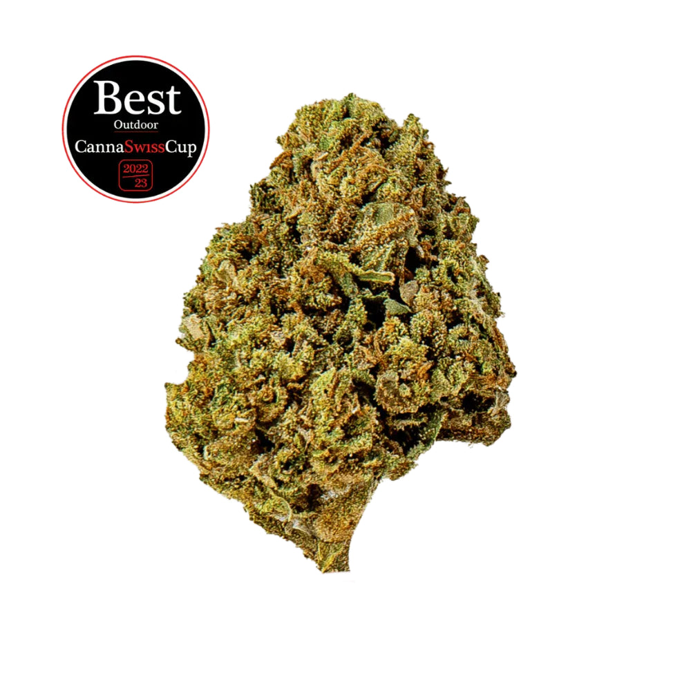 Saparot - Flowers Outdoor