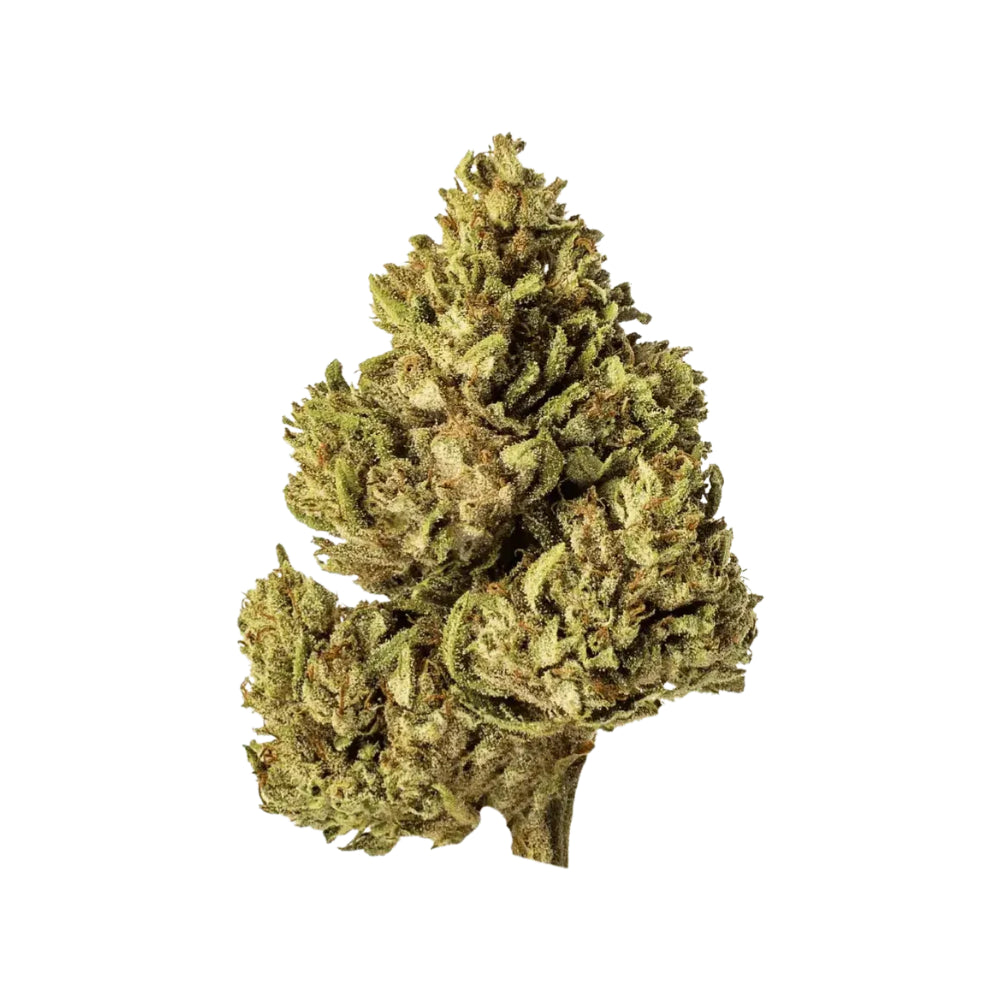 White Rhino CBG - Flowers Outdoor