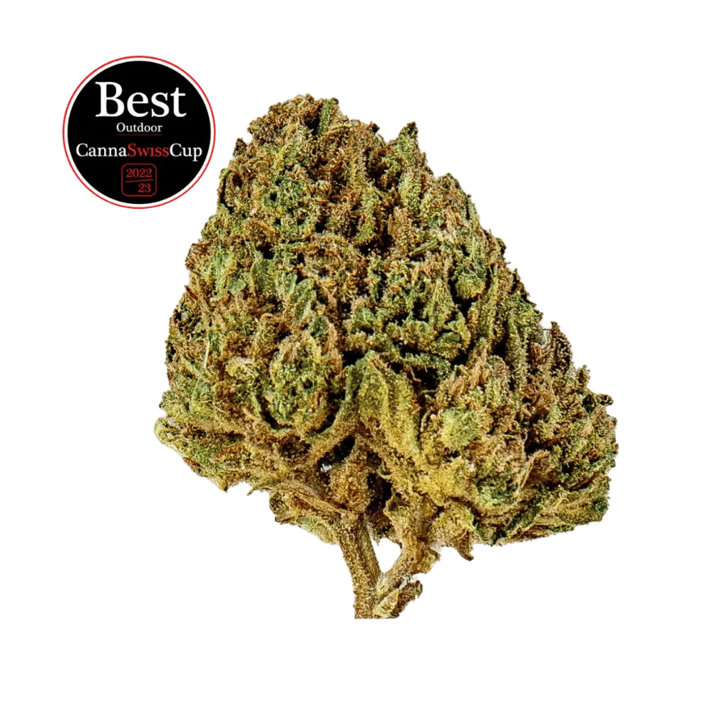 Candy Kush - Flowers Outdoor