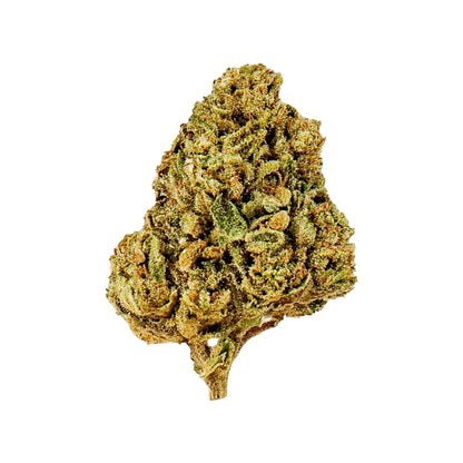 Saparot - Flowers Greenhouse