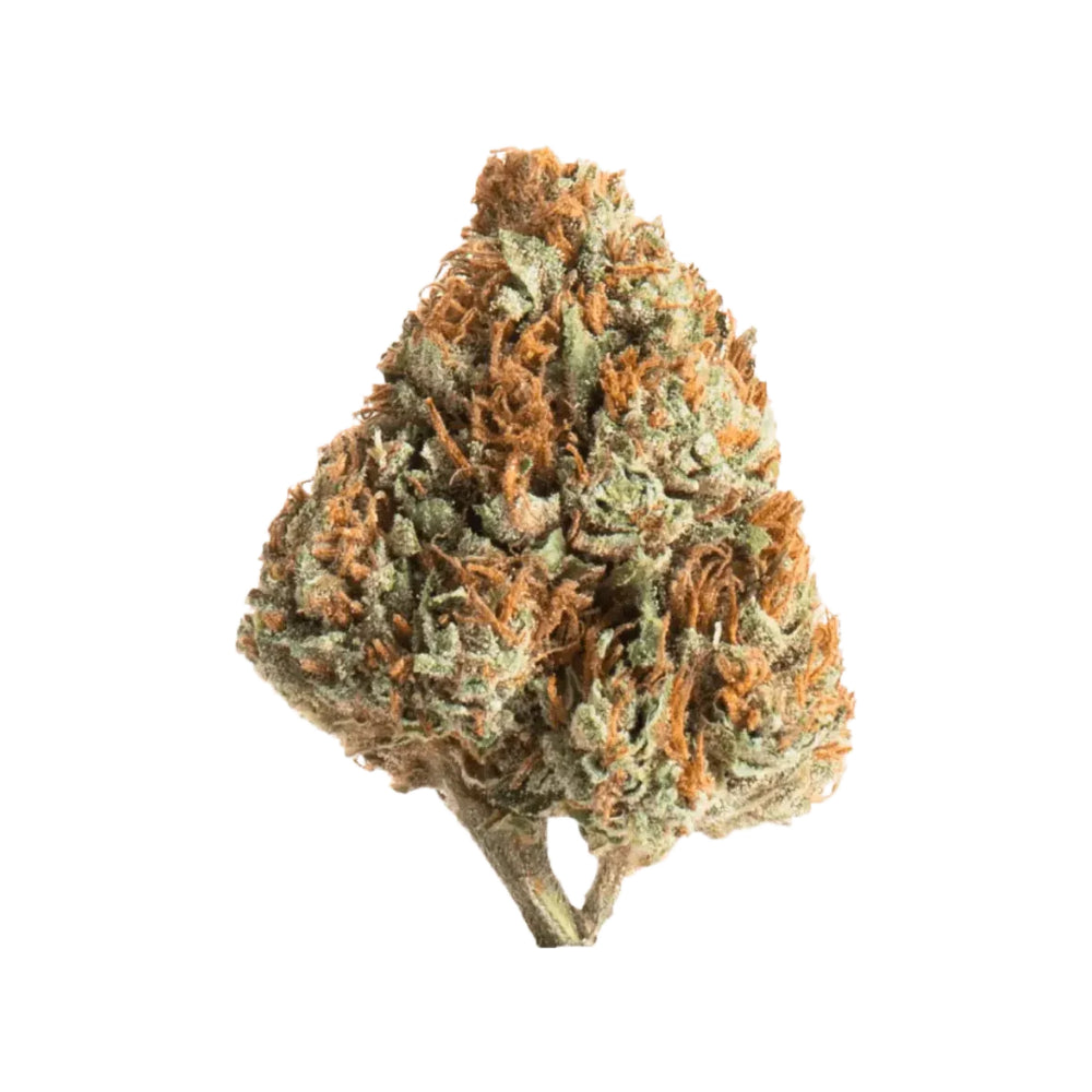 Snow White CBG - Flowers Outdoor