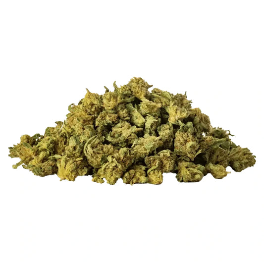 Arancia Tonic - Small Buds Outdoor