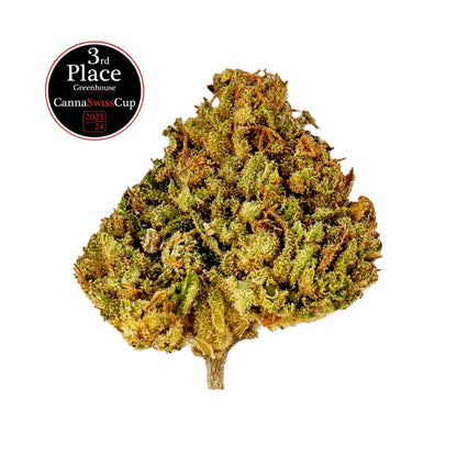 Durban Poison - Small Buds Greenhouse