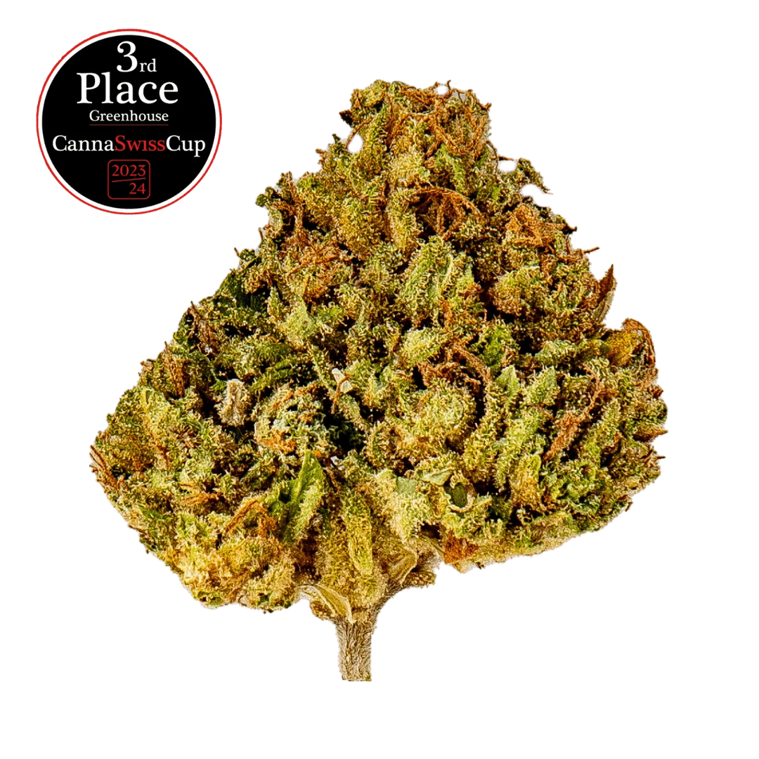 Durban Poison - Crunch