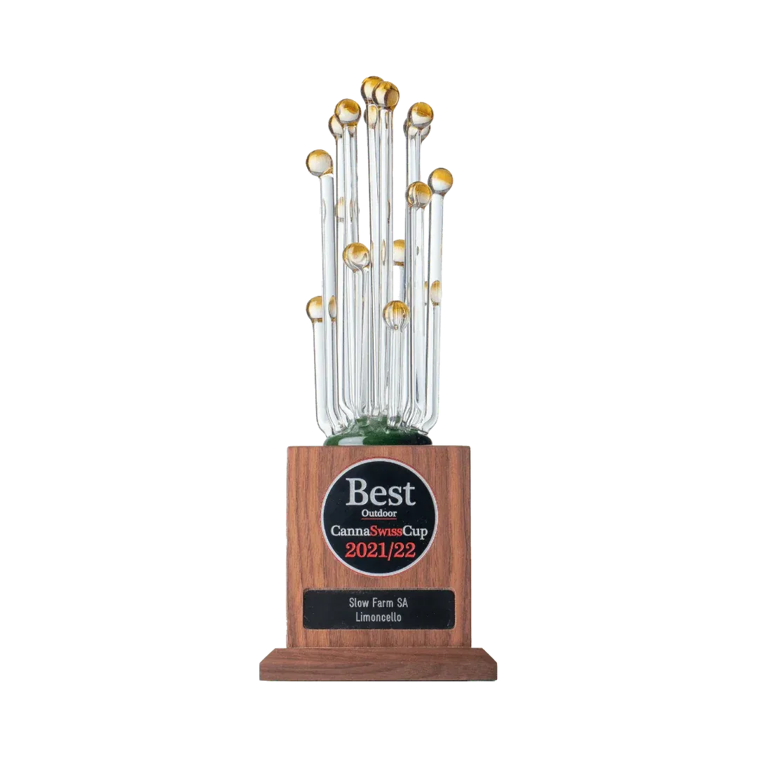 Limoncello - Small Buds Greenhouse