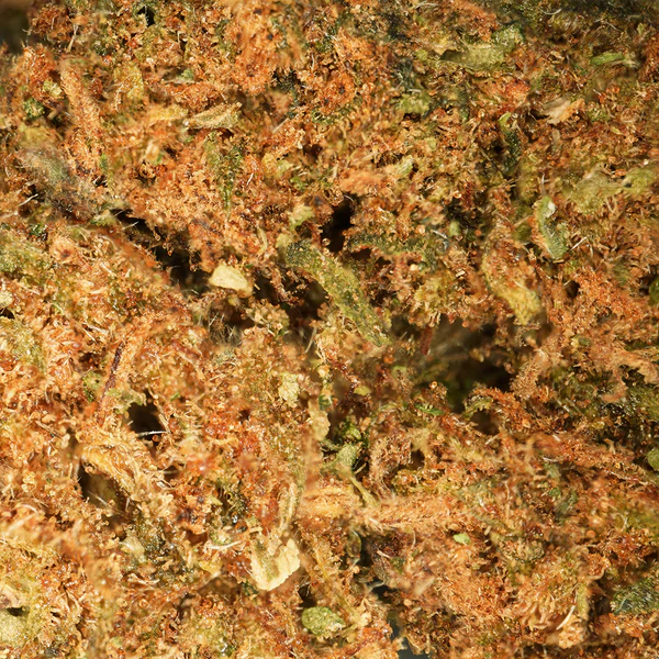 Petites Têtes OG Kush