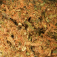 Petites Têtes OG Kush