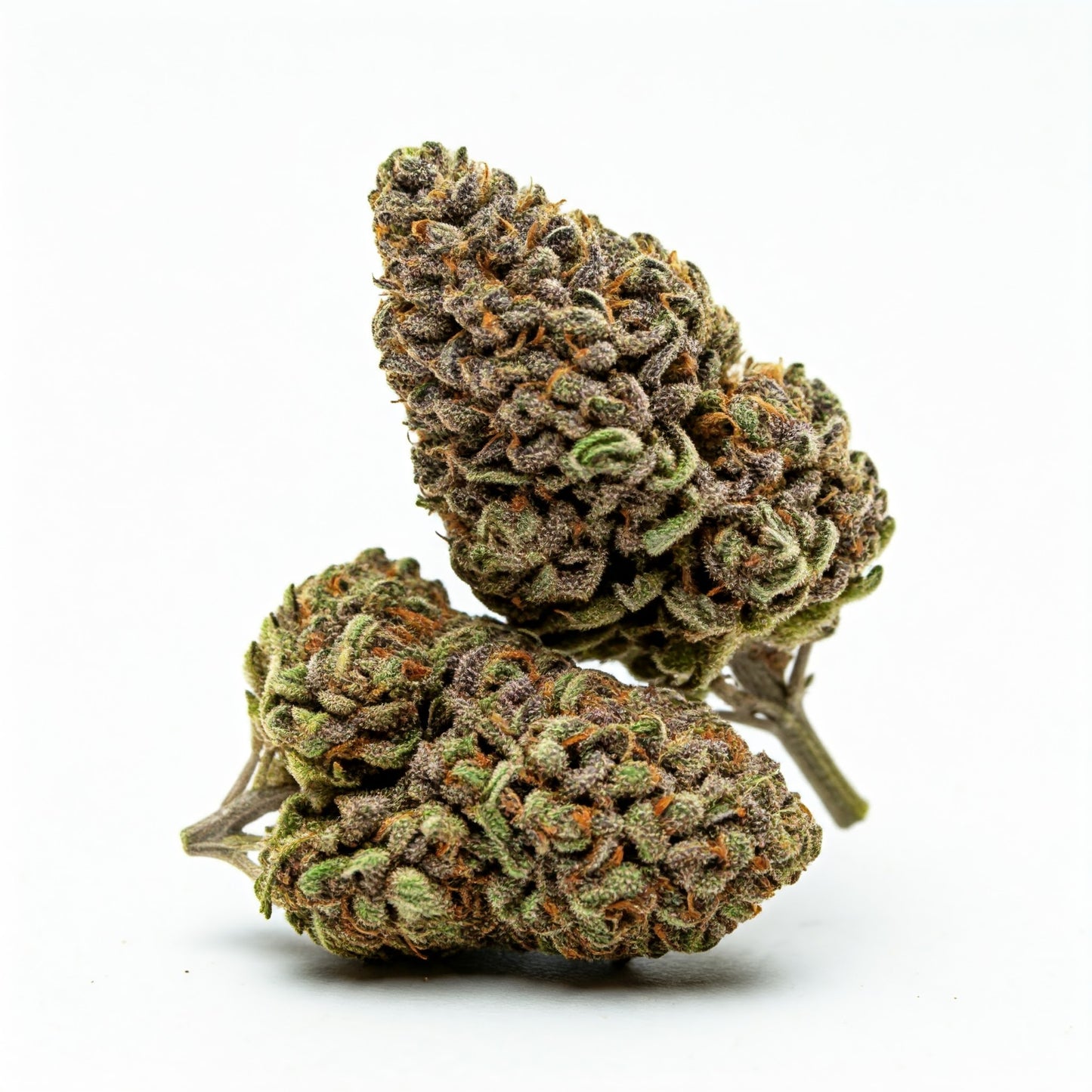 Purple Haze
