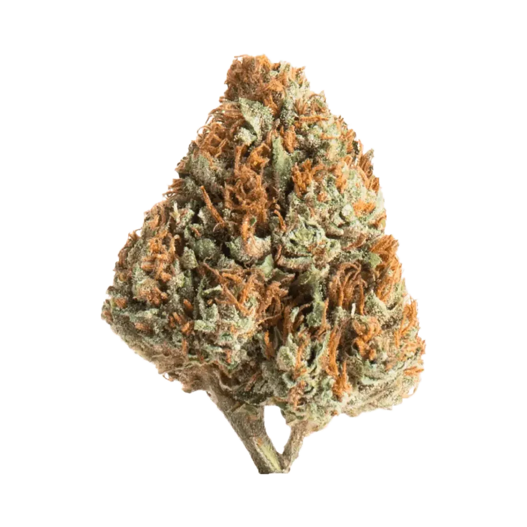 Snow White CBG - Crunch